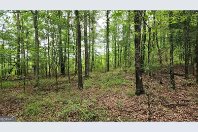 143 Highway 341 S, Barnesville, GA 30204 - Photo 10