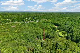 212 Todd Rd, Senoia, GA 30276 - Photo 6