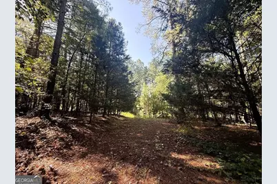 2604 Hughes Rd, Bowman, GA 30624 - Photo 2