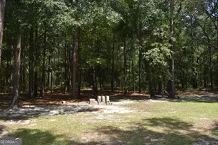 1438 Fannie Head Rd, Jesup, GA 31545 - Photo 8