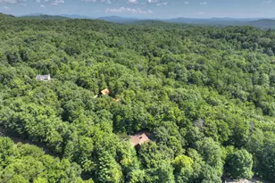 2975 Mountain Tops Rd, Blue Ridge, GA 30513 - Photo 54