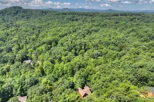2975 Mountain Tops Rd, Blue Ridge, GA 30513 - Photo 56