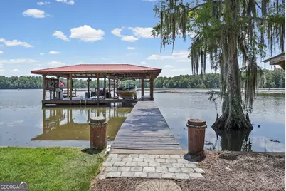 110 Sawdust Trail, Cobb, GA 31735 - Photo 50