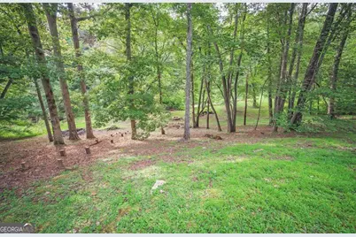 367 Sunrise Valley Road, Blue Ridge, GA 30513 - Photo 22
