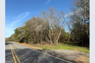 006 State Route 45, White Plains, GA 31780 - Photo 1