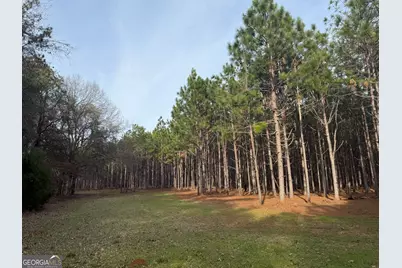006 State Route 45, White Plains, GA 31780 - Photo 6