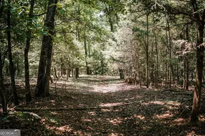 3288 King Hall Mill Road, Bowman, GA 30624 - Photo 46