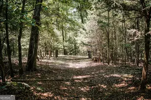 3288 King Hall Mill Rd, Bowman, GA 30624 - Photo 46