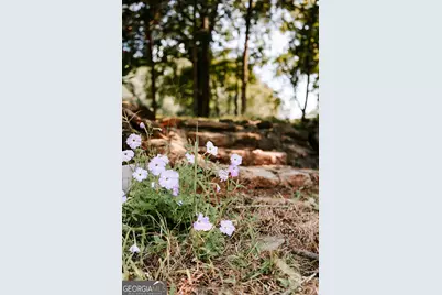 3288 King Hall Mill Road, Bowman, GA 30624 - Photo 44