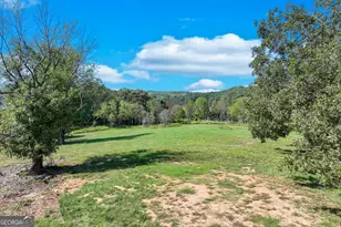 4596A Shirley Rd, Gainesville, GA 30506 - Photo 28