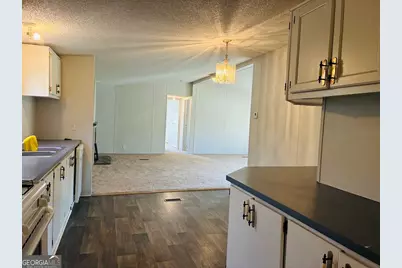 251 Moores Chapel Road, Mauk, GA 31058 - Photo 16