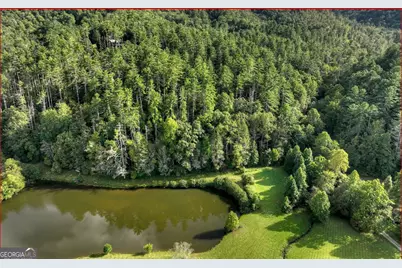 0 Walker Ridge Way, Mineral Bluff, GA 30559 - Photo 2