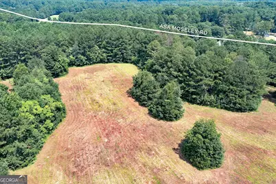 405 Kelleytown Road, McDonough, GA 30252 - Photo 50