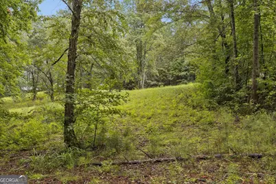 1736 Harmony Grove Church Road, Acworth, GA 30101 - Photo 22