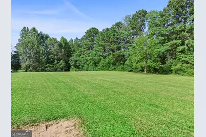 353 John Trammell Road, Grantville, GA 30220 - Photo 32