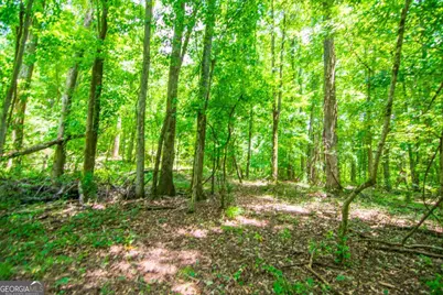 0 White Road, Pine Mountain, GA 31822 - Photo 16