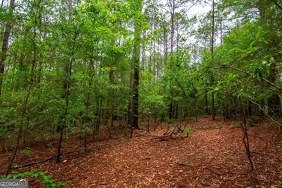 0 White Road, Pine Mountain, GA 31822 - Photo 8