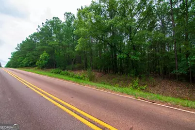 0 White Road, Pine Mountain, GA 31822 - Photo 4