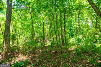 0 White Road, Pine Mountain, GA 31822 - Photo 18