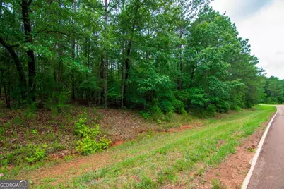 0 White Road, Pine Mountain, GA 31822 - Photo 2