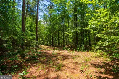 0 White Road, Pine Mountain, GA 31822 - Photo 10