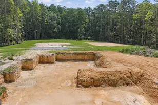 38 682 Acres Btwn 446 & 478 Rising Star Rd, Brooks, GA 30205 - Photo 1