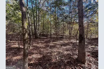 17.86Ac Pine Ridge Drive, Elberton, GA 30635 - Photo 10