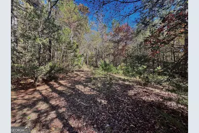 17.86Ac Pine Ridge Drive, Elberton, GA 30635 - Photo 16