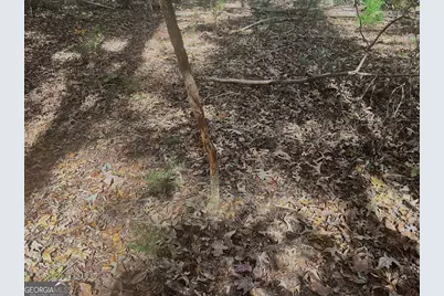 17.86Ac Pine Ridge Drive, Elberton, GA 30635 - Photo 6