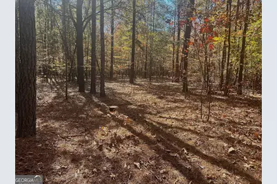 17.86Ac Pine Ridge Drive, Elberton, GA 30635 - Photo 12