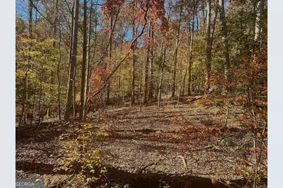 17.86Ac Pine Ridge Drive, Elberton, GA 30635 - Photo 8