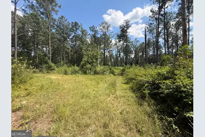 10 Sunhill Grange Road, Davisboro, GA 31018 - Photo 32