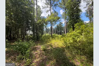 10 Sunhill Grange Road, Davisboro, GA 31018 - Photo 30