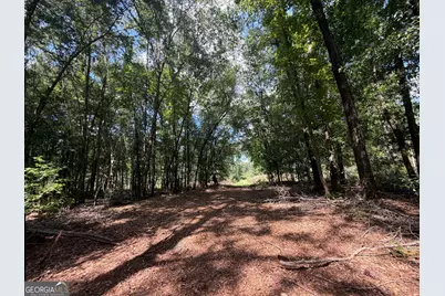 10 Sunhill Grange Road, Davisboro, GA 31018 - Photo 1