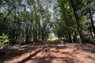 10 Sun Hill Grange Rd, Davisboro, GA 31018 - Photo 1