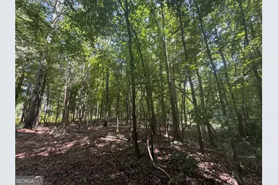 10 Sunhill Grange Road, Davisboro, GA 31018 - Photo 24