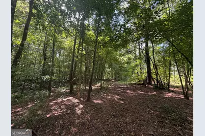 10 Sunhill Grange Road, Davisboro, GA 31018 - Photo 28