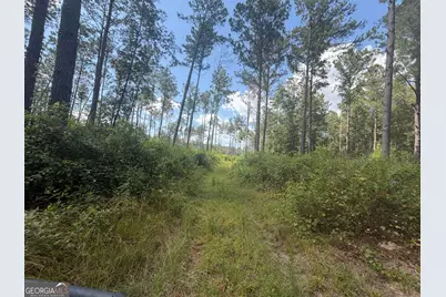 10 Sunhill Grange Road, Davisboro, GA 31018 - Photo 22
