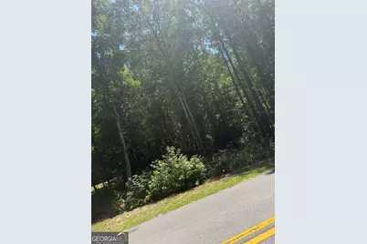 0 Opal Street, Luthersville, GA 30251 - Photo 2