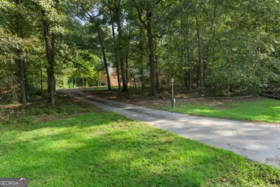 163 Jenkins Road, Tyrone, GA 30290 - Photo 46