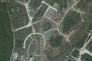 Lot 114 Pinecrest, Waynesville, GA 31566 - Photo 1