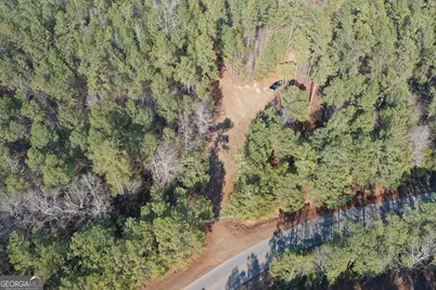 0 Hulmes Chapel Road, Elberton, GA 30635 - Photo 6