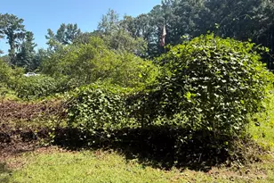 3100 Old Jonesboro Rd, Fairburn, GA 30213 - Photo 12