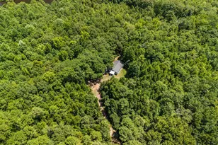 5301 Geneva Hwy, Talbotton, GA 31827 - Photo 4