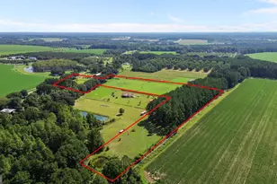 2727 Stanfield Rd, Screven, GA 31560 - Photo 6
