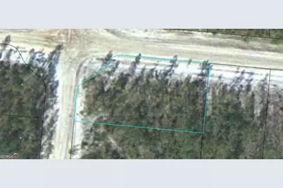 Lot 11 Satilla Plantation, Waynesville, GA 31566 - Photo 1