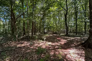 1030 Woodberry Dr, Watkinsville, GA 30677 - Photo 32