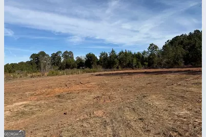 2206 Cochran, Eastman, GA 31023 - Photo 4