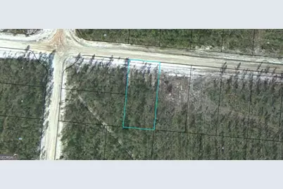 Lot 12 Satilla Plantation, Waynesville, GA 31566 - Photo 1