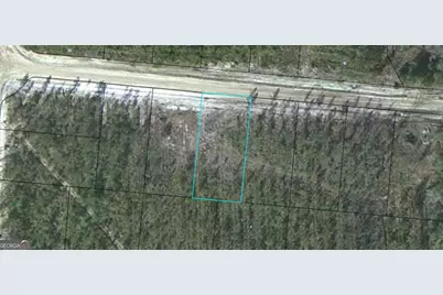 Lot 14 Satilla Plantation, Waynesville, GA 31566 - Photo 1